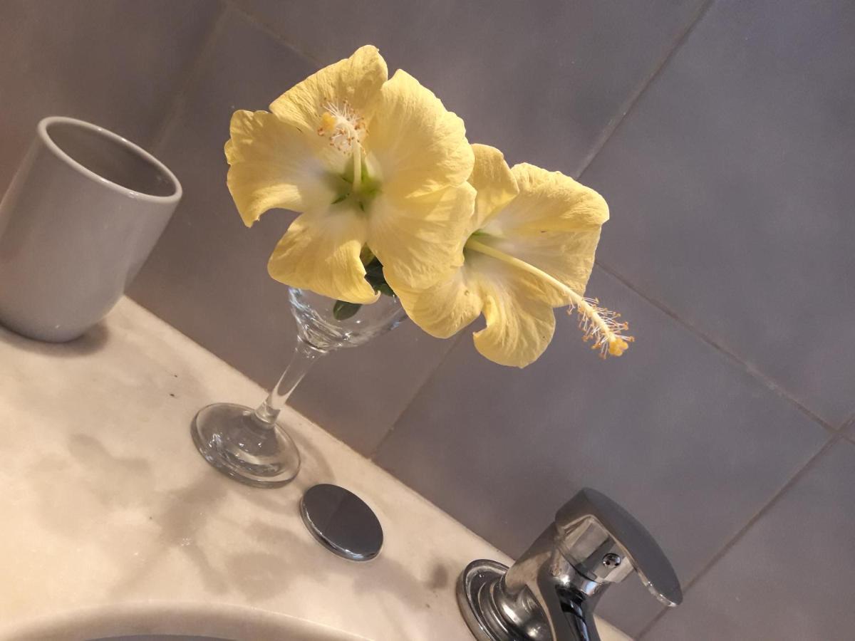 Apto Tipo Loft En Complejo Bahama, A Metros Del Mar Y Zona Muy Tranquila Punta del Este Esterno foto